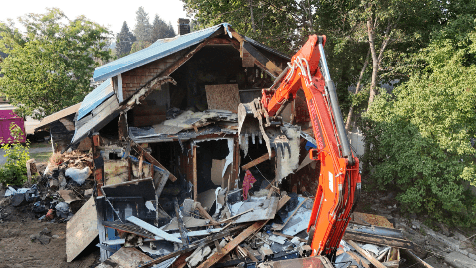 Whole Home Cleanouts