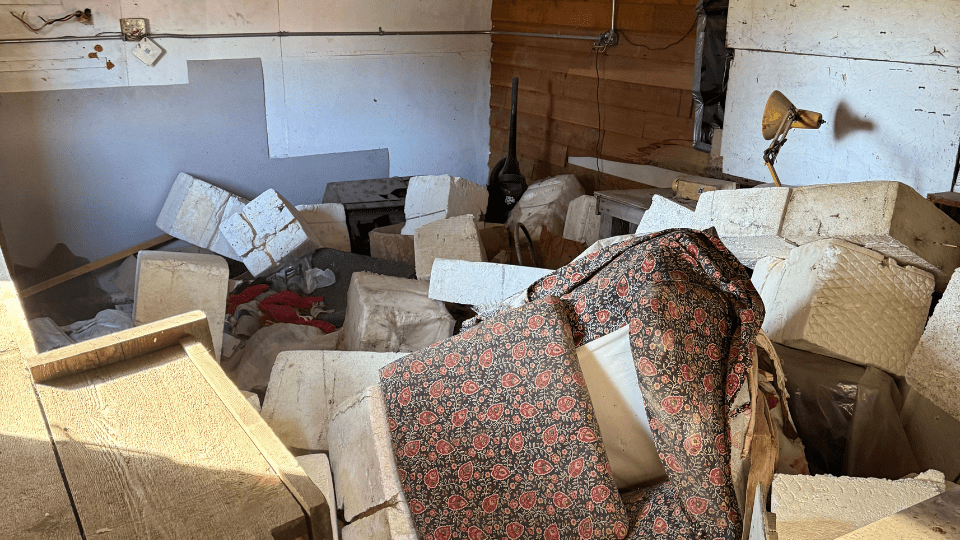 Basement Cleanouts